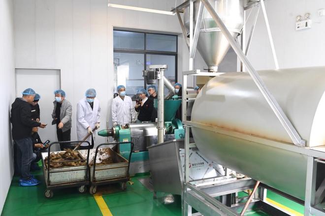 教育优、治理新、养老暖！崇文镇用 “民生实事” 答好发展答卷